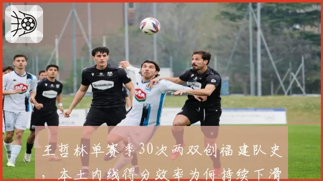 王哲林单赛季30次两双创福建队史,本土内线得分效率为何持续下滑?