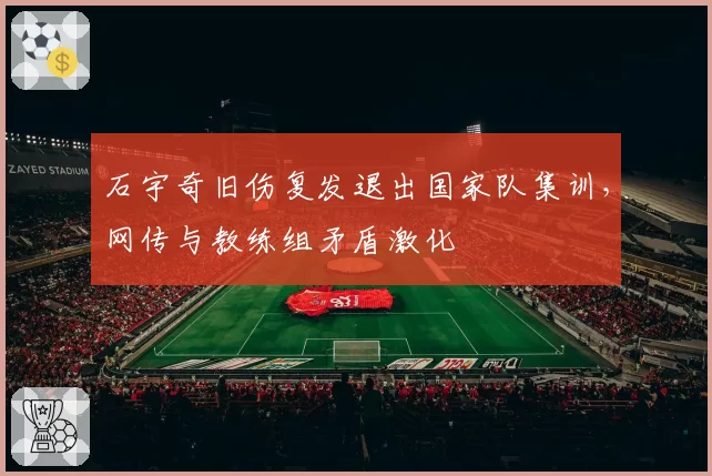 石宇奇旧伤复发退出国家队集训，网传与教练组矛盾激化