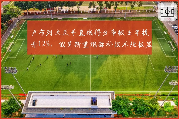 卢布列夫反手直线得分率较去年提升12%，俄罗斯重炮弥补技术短板显成效