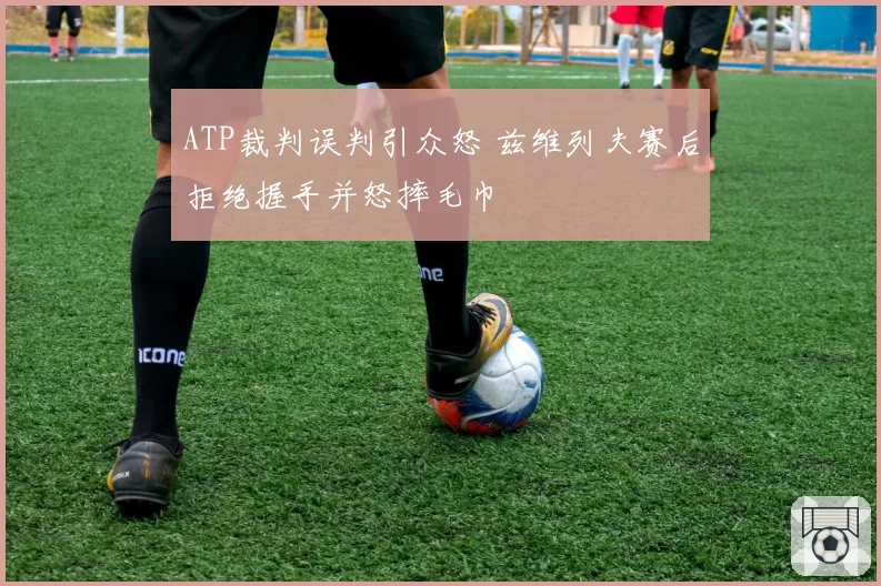 ATP裁判误判引众怒 兹维列夫赛后拒绝握手并怒摔毛巾