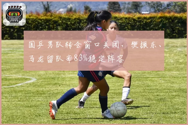 国乒男队转会窗口关闭,樊振东、马龙留队率83%稳定阵容